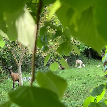 La Prairie Villa Korenica Bagian luar foto