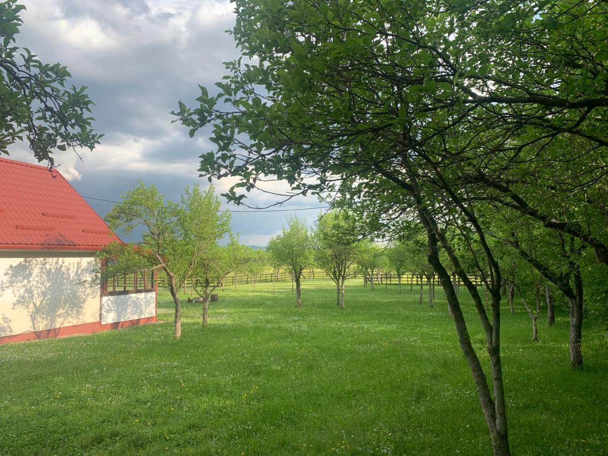 La Prairie Villa Korenica Bagian luar foto